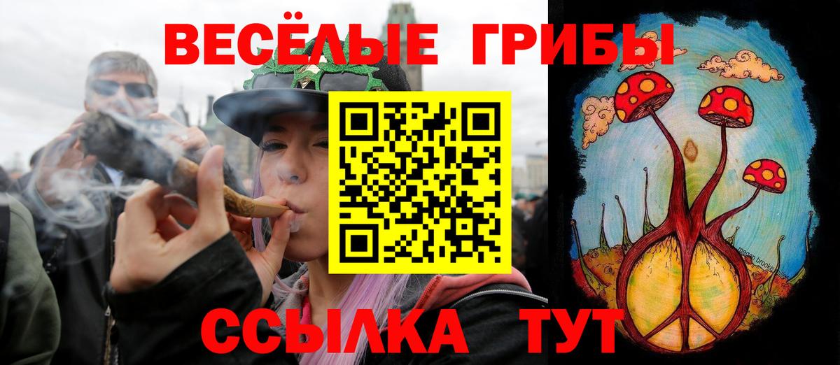 Псилоцибиновые грибы MAGIC MUSHROOMS Междуреченск